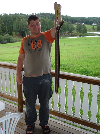 Aale bis 2 kg werden hier im Sommer gefangen. Aale bis 2 kg werden hier im Sommer gefangen.